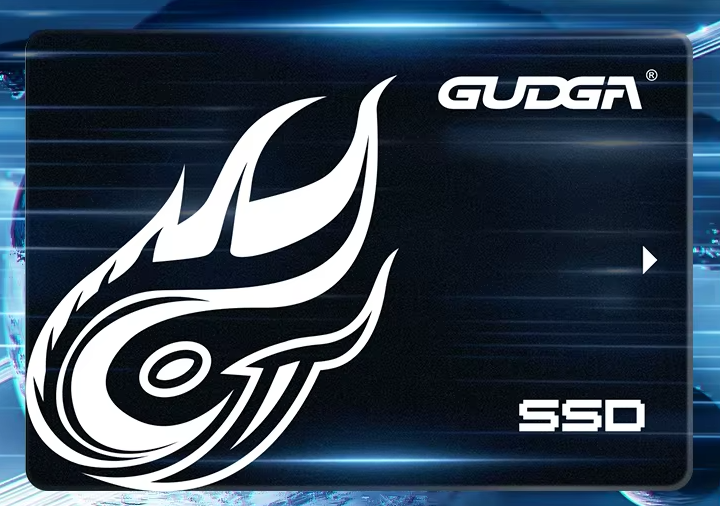 SSD GUDGA 256GB 2.5" SATA3