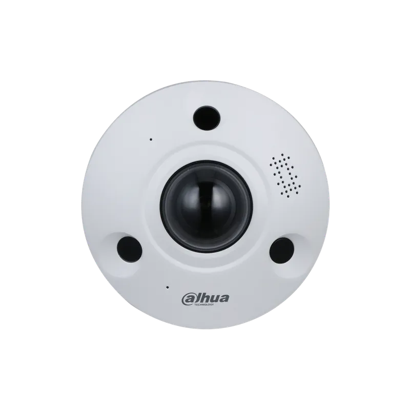DH-IPC-EBW8842P-AS. Camara ojo de pez de 8MP IR 10m IP67 IK10